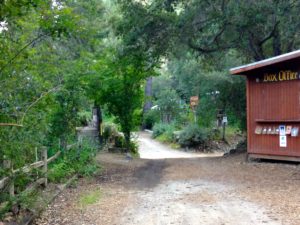 img_2351-copy