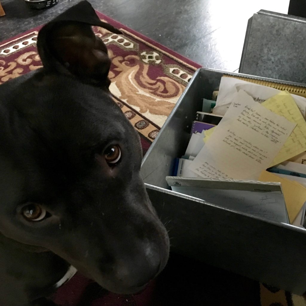 Jameson: 'Throw it away, Jack.'